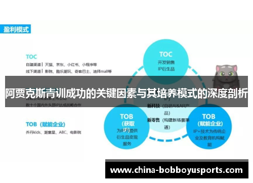 阿贾克斯青训成功的关键因素与其培养模式的深度剖析