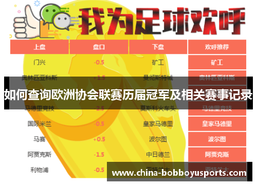 如何查询欧洲协会联赛历届冠军及相关赛事记录