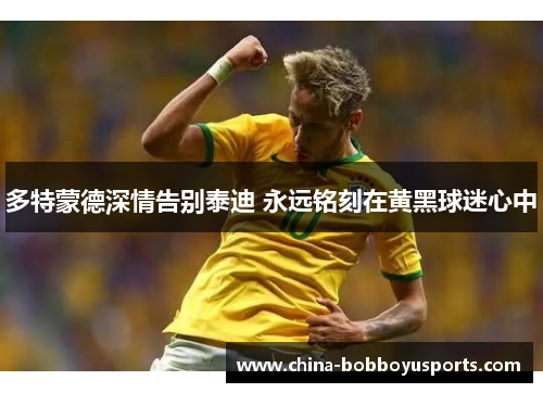 多特蒙德深情告别泰迪 永远铭刻在黄黑球迷心中